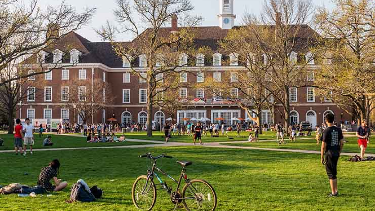 Discover Your Best Path With The Right University